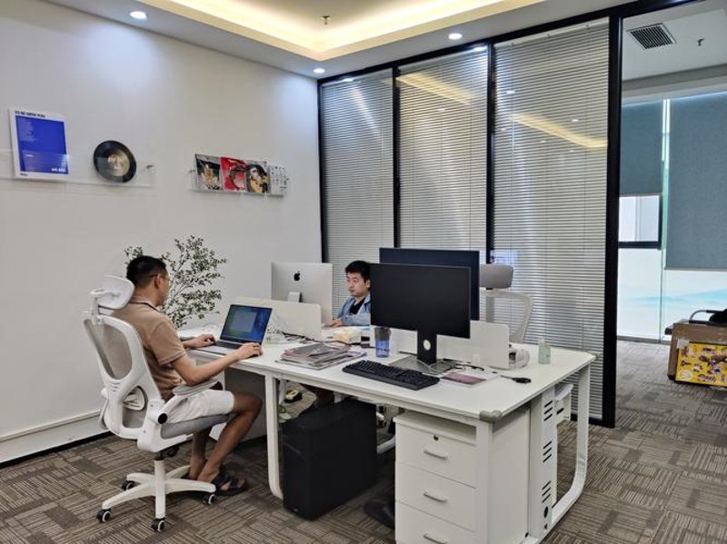 项目策划咨询：帮助企业成功落地梦想的力量